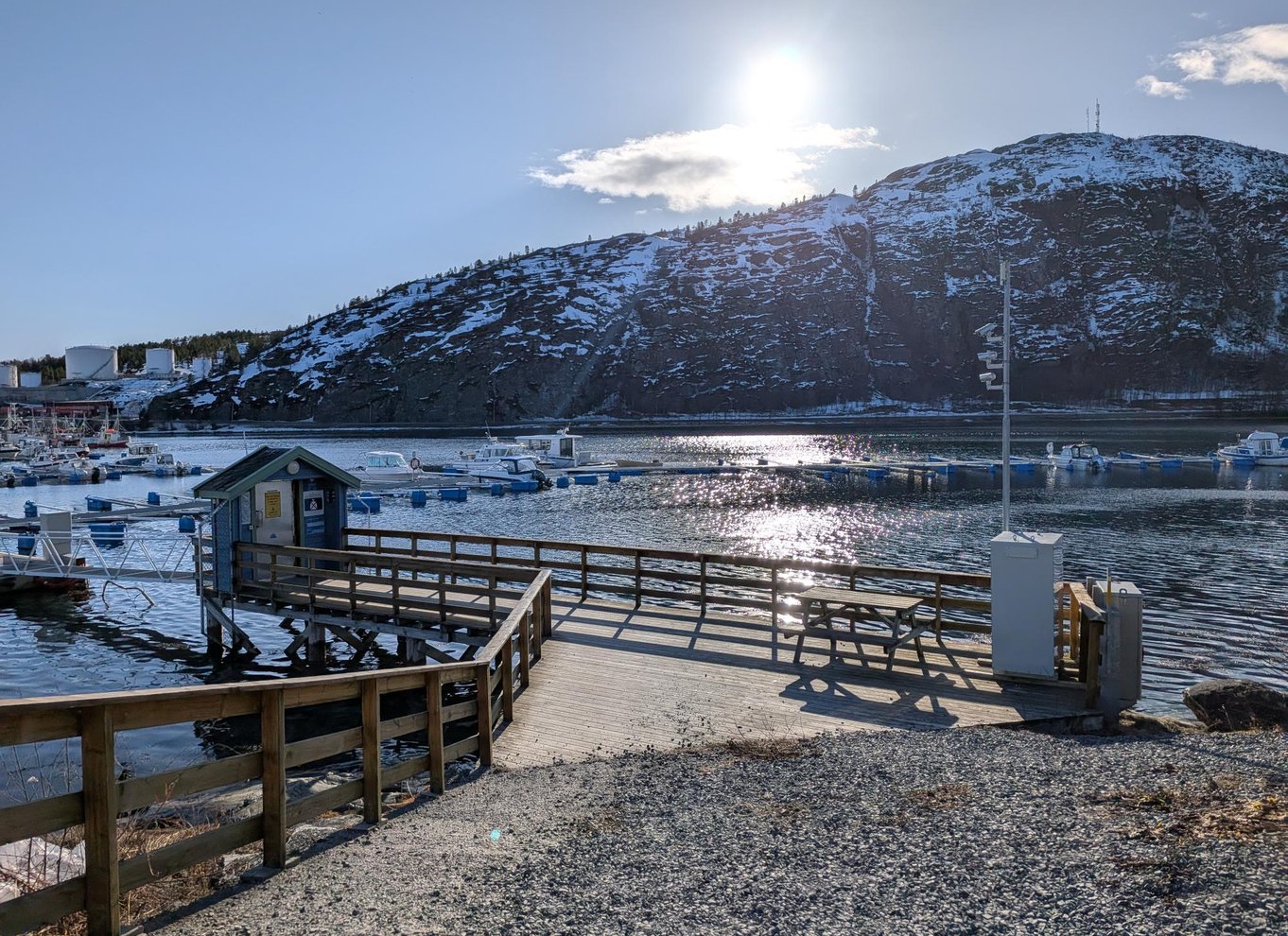 Alta: Alta Fjord hvalsafari-tur