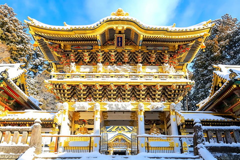 Nikko Small Group: Hotel Pickup, Kegon Falls & Toshogu Private Sightseeing Tours