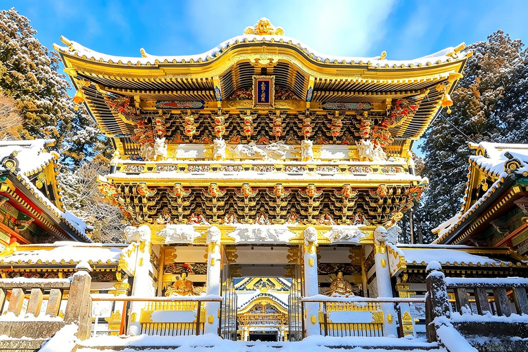 Nikko Small Group: Hotel Pickup, Kegon Falls & Toshogu Private Sightseeing Tours