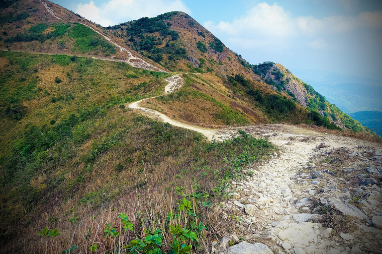 Ma On Shan Ridge & Hunchbacks Advanced Hike (Full Day)