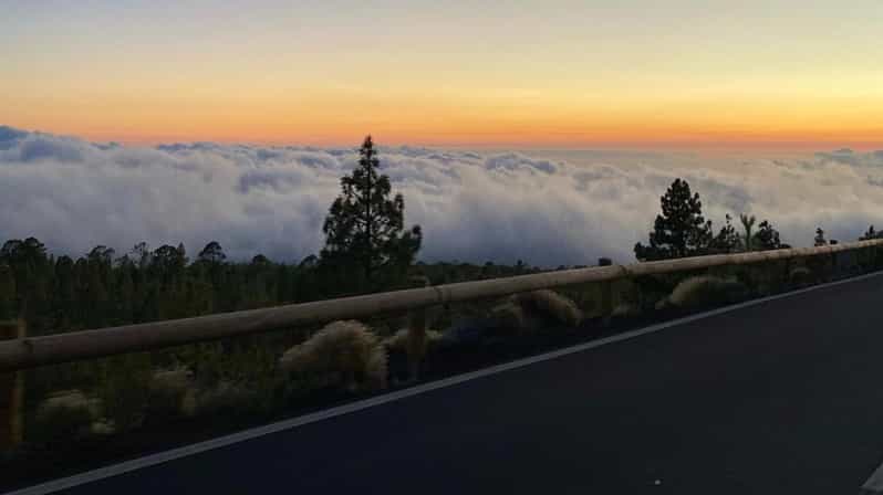 Galería de fotos para redes