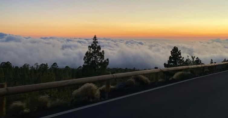 Galería de fotos para redes