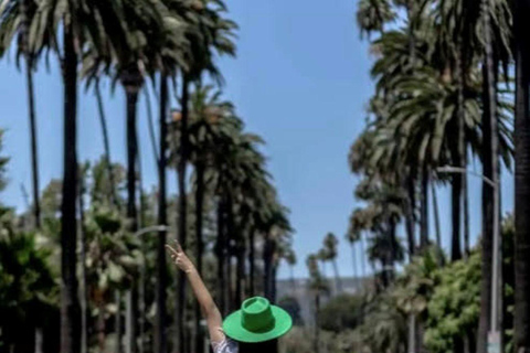 لوس أنجلوس: جولة فنية في الشارع مع فنان محليجولة فن الشارع مع الغداء