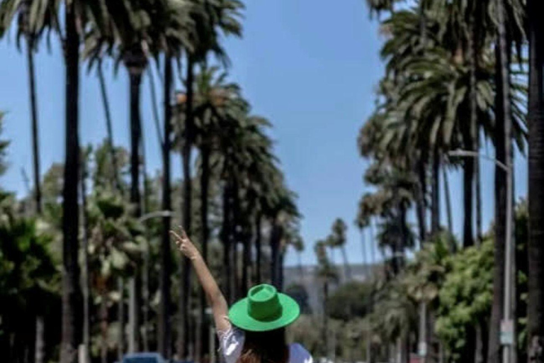 لوس أنجلوس: جولة فنية في الشارع مع فنان محليجولة فن الشارع مع الغداء