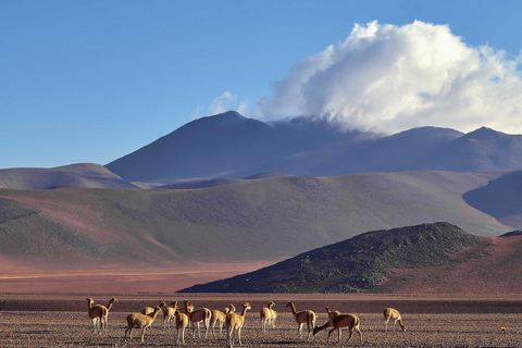 Salar de Uyuni 3d/2N+transfer San Pedro de Atacama-English