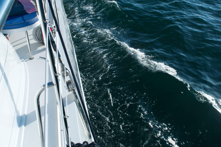 Málaga: 1.5 Hour Daytime Cruise with Swimming Stop 1.5 Hour Daytime Cruise with Swimming Stop