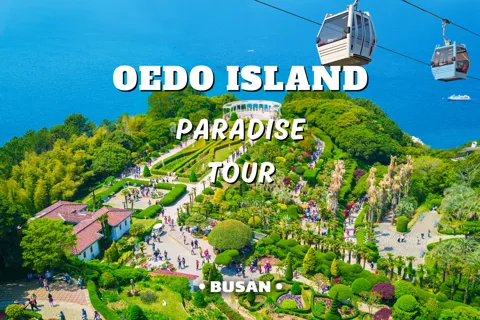 De Busan: Excursão de um dia à encantadora Ilha de Oedo com Windy Hill