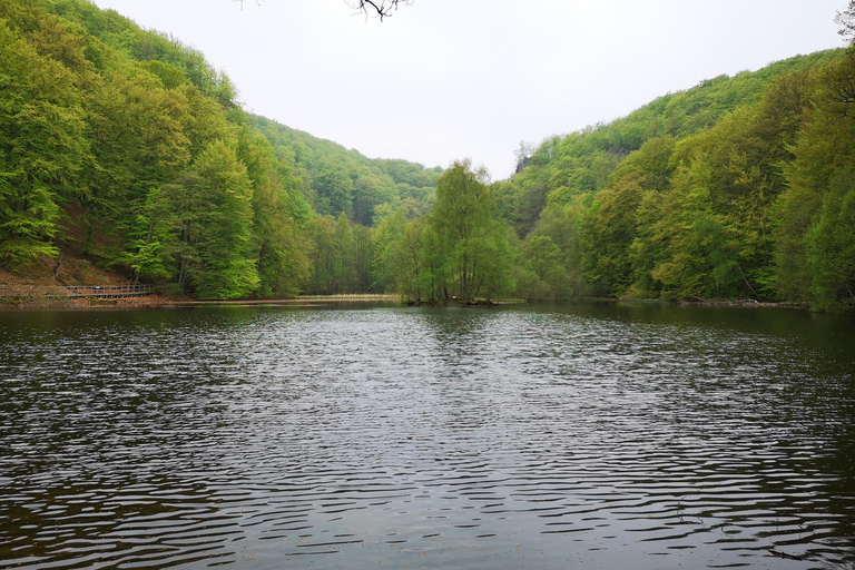 تبليسي: كنيسة مانجليسي سيوني والبحيرة ورحلة نهارية في المنتزه