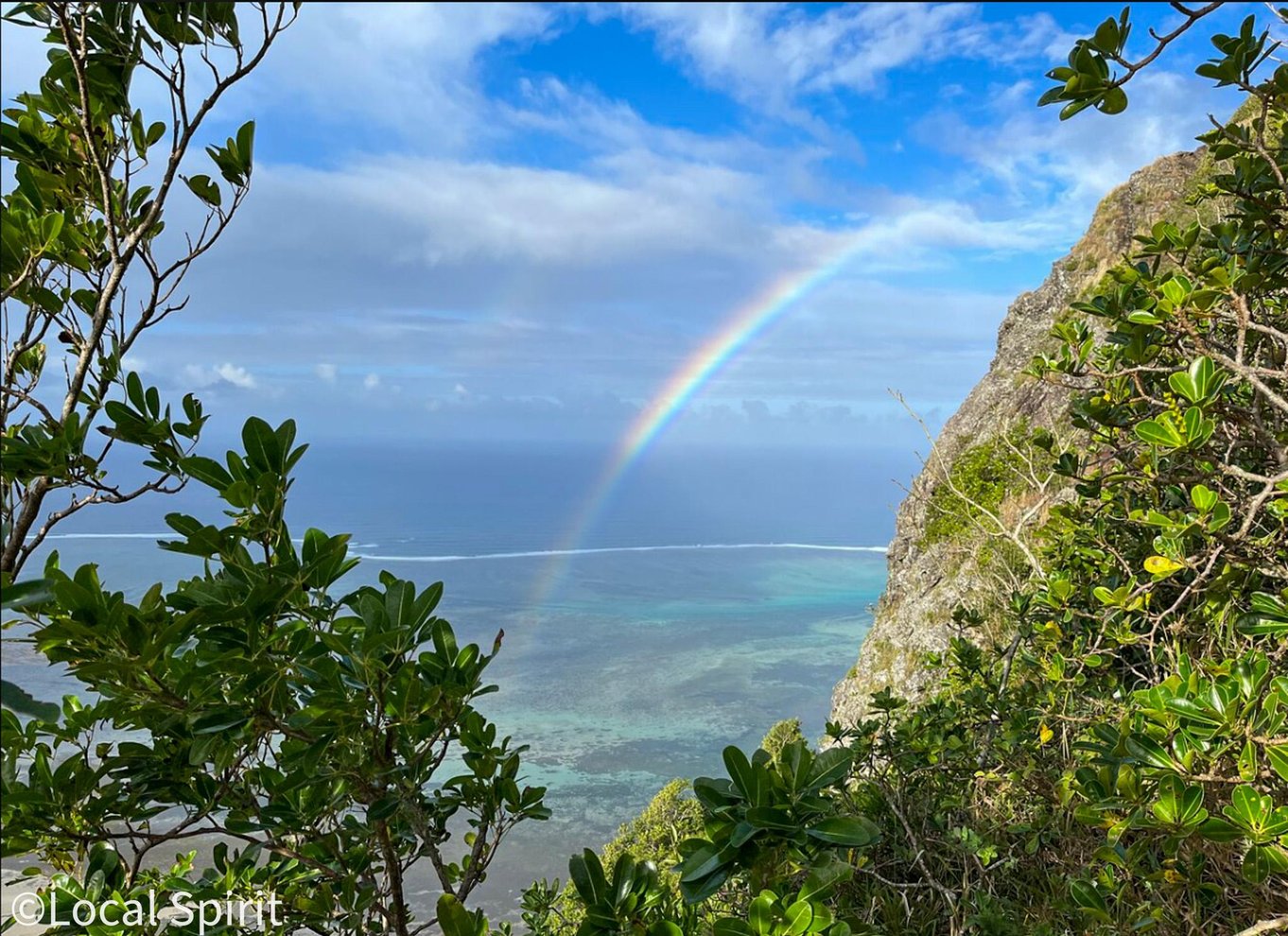 Mauritius: UNESCO-vandretur til Le Morne Brabant med lokal guide