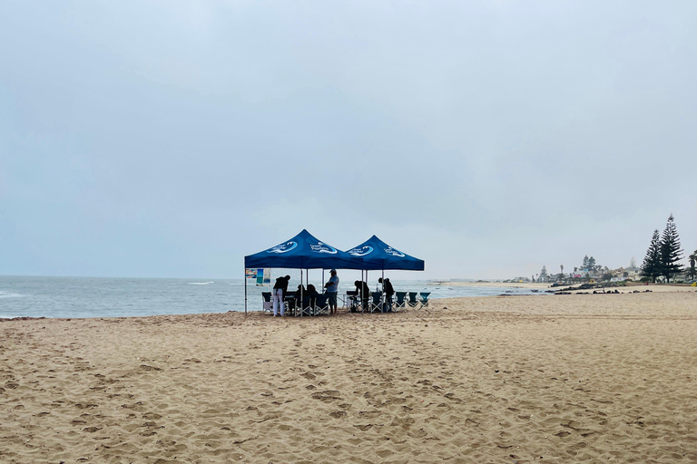 Swakopmund: Beach Painting Session with Artist Guide