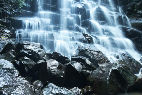 Ubud Tour: Explore os melhores lugares da área de Ubud.