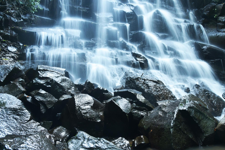 Ubud Tour: Explore os melhores lugares da área de Ubud.