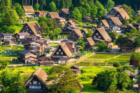 Hida Takayama, Shirakawa-go+Observatory|Day Trip from Nagoya