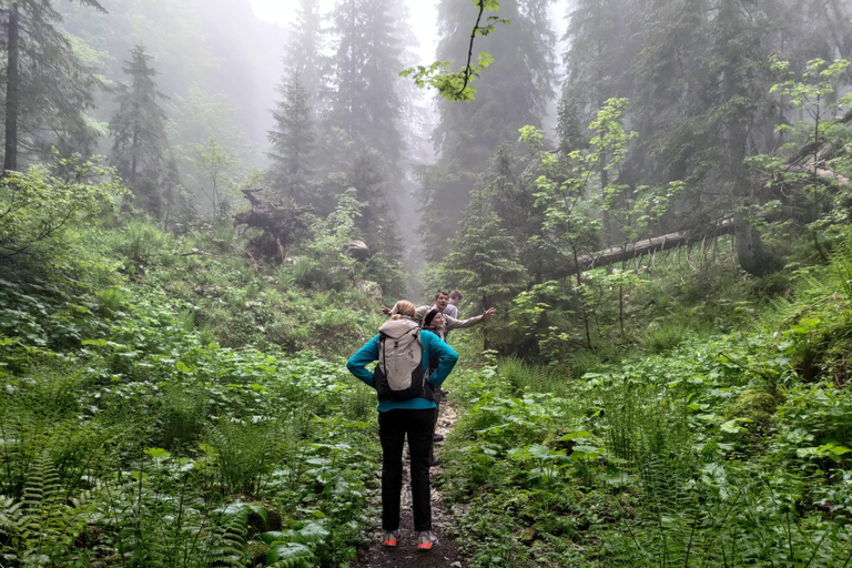 Stuttgart : randonnée consciente au château de Lichtenstein avec transfertStuttgart : Randonnée au château de Lichtenstein avec transfert