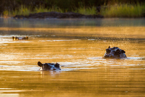 Riversong Zonsondergang Luxe Zambezi CruiseLuxe optie bij zonsondergang