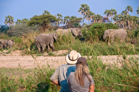 AMAZING SAFARI FROM LAKE MANYARA NATIONAL PARK TO MOSHILAKE MANYARA NATIONAL PARK TO MOSHI