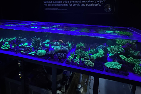 Port Douglas: Forever Reef Project Coral Biobank Guided Tour