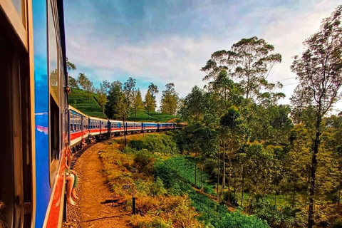 Desde Ella - Tour privado de un día por 8 lugares emblemáticos y viaje en trenElla Tour PRIVADO de un Día en Coche