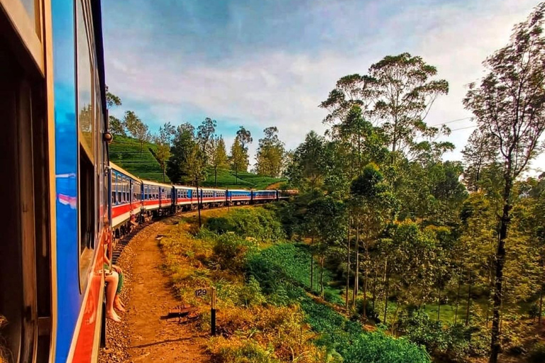 Desde Ella - Tour privado de un día por 8 lugares emblemáticos y viaje en trenElla Tour PRIVADO de un Día en Coche