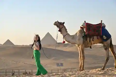 Hurghada: Dagsutflykt till Kairo med pyramiderna, sfinxen och museet i Giza