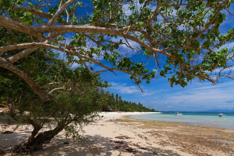 Krabi: Small Group Yawasam and Talu Islands Snorkeling Tour