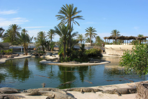 Eine etwas andere Tour durch Djerba und die Wüste in 3 Tagen