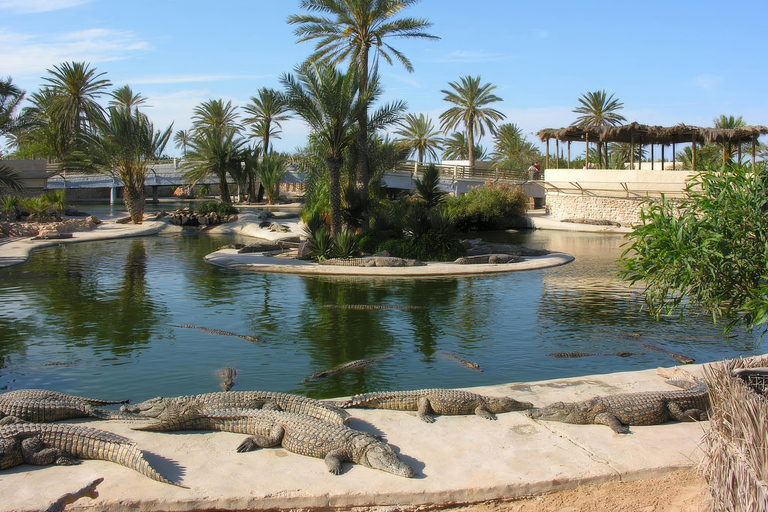 Eine etwas andere Tour durch Djerba und die Wüste in 3 Tagen