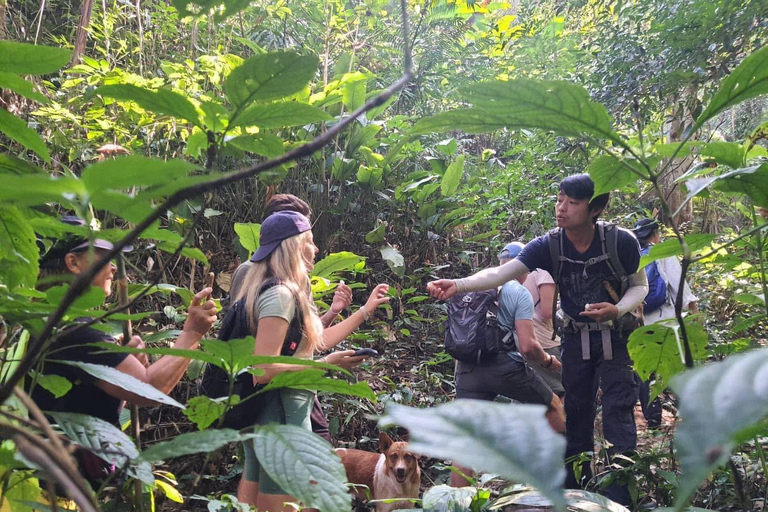 Authentic trek only walk in Chiang Rai jungle Authentic trek only walk in ChiangvRaiv jungle