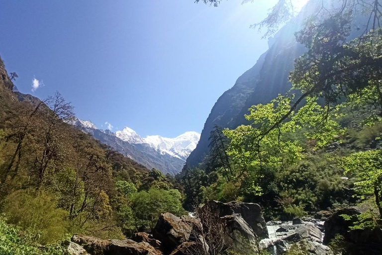 Från Katmandu: 7-dagars vandring i Langtangdalen