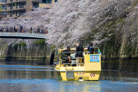 Tokyo: Cherry Blossom River Cruise on Private Boat (Private Boat) 75min Cruise from Tennōzu Pier