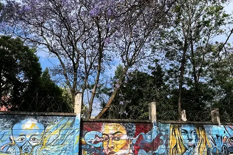 Nairobi: Kibera Slum Street Art Tour With A Local Muralist. Nairobi: Kibera Slum Street Art Tour From A Meeting Point.