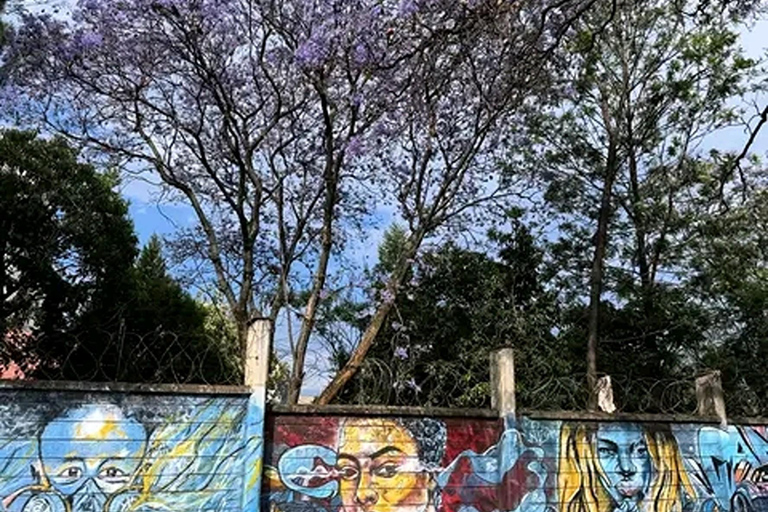 Nairobi: Kibera Slum Street Art Tour With A Local Muralist. Nairobi: Kibera Slum Street Art Tour From A Meeting Point.