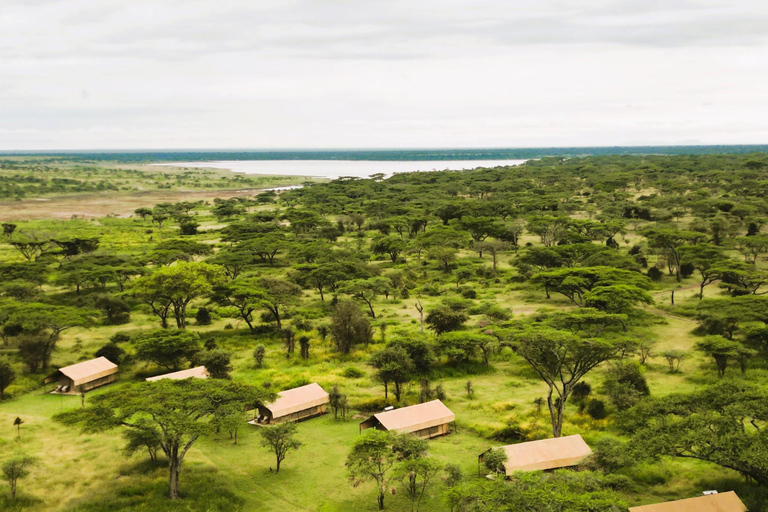 Vanuit Arusha: De 4-daagse safari-expeditie naar Tarangire &amp; Ndutu