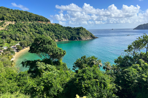 Tobago: Island Tour with Rainforest Drive and Scenic Lookout
