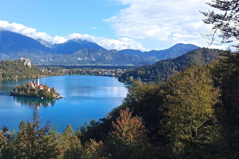 Slovenien: Bledsjön och Bohinjsjön Privat turSlovenien: Bledsjön och Bohinjsjön Privat tur med skåpbil