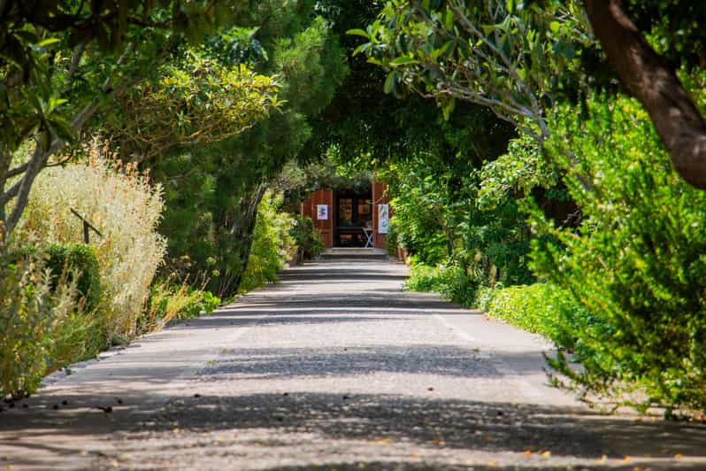 MUCBO | Sóller Botanical Garden - Balearic Museum of Natural Sciences