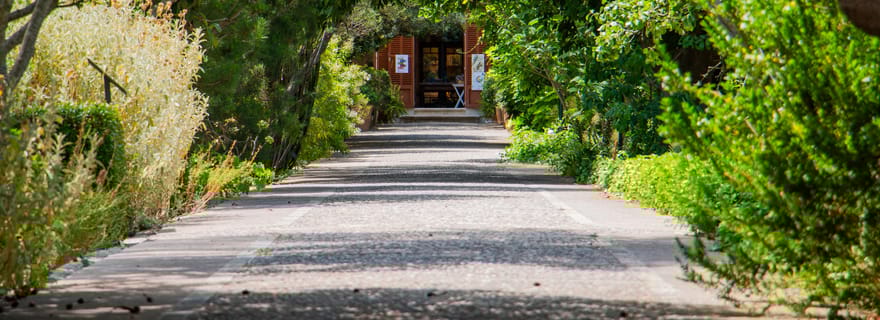 MUCBO | Jardí Botànic de Sóller - Museu Balear de Ciències Naturals (Musée des sciences naturelles des Baléares)