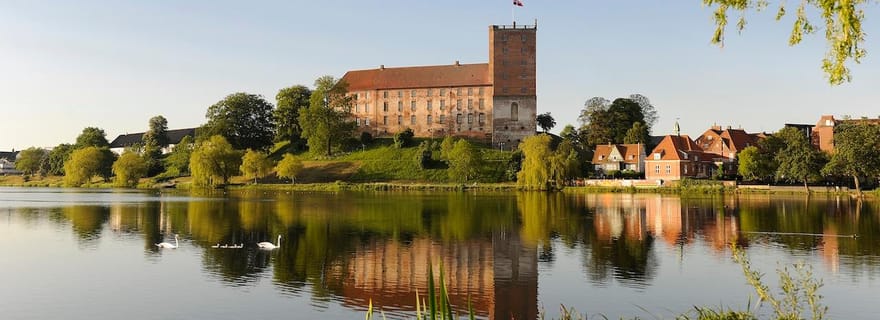 Kolding : billet d'entrée au palais de Koldinghus