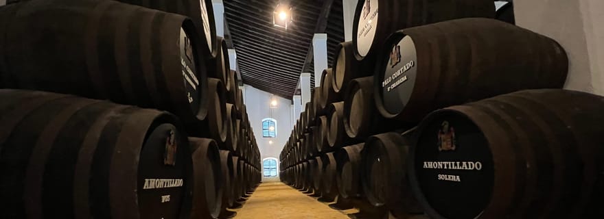 Jerez: tour guidato della cantina con degustazione di vini