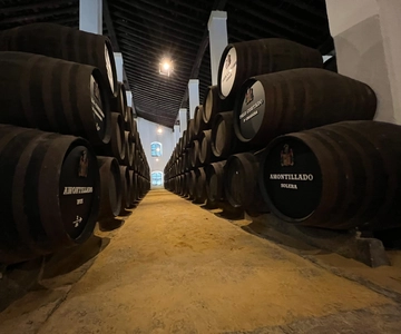 Jerez: Guided Winery Tour with Wine Tasting