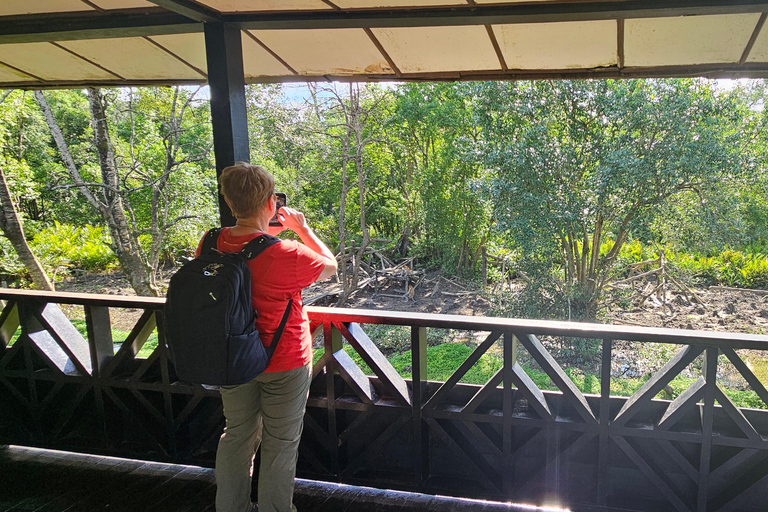 Sepilok OrangUtan, Sun Bear e Labuk Bay Giornata intera (PVT)