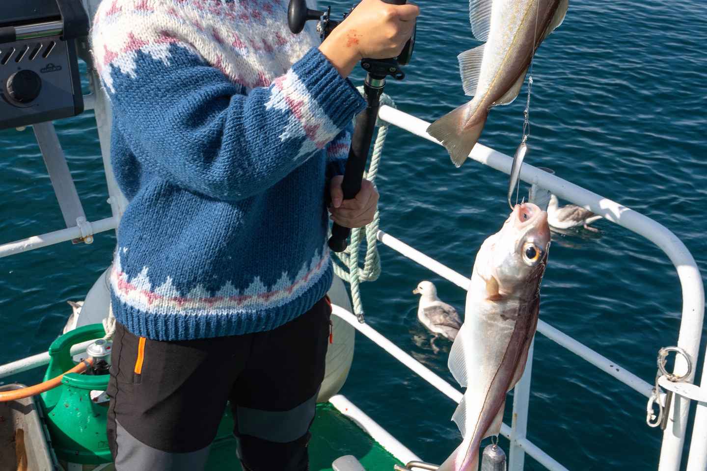 La Mejor Captura de Reikiavik: Tour Guiado de Pesca en el Mar