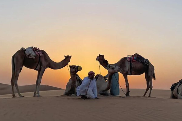 Wahiba Sands Desert Adventure with Multiple Activities