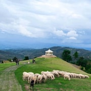 Chiang Rai to Chiang Mai: Private Scenic Transfer Tour Chiang Rai to Chiang Mai: Private Scenic Transfer Tour