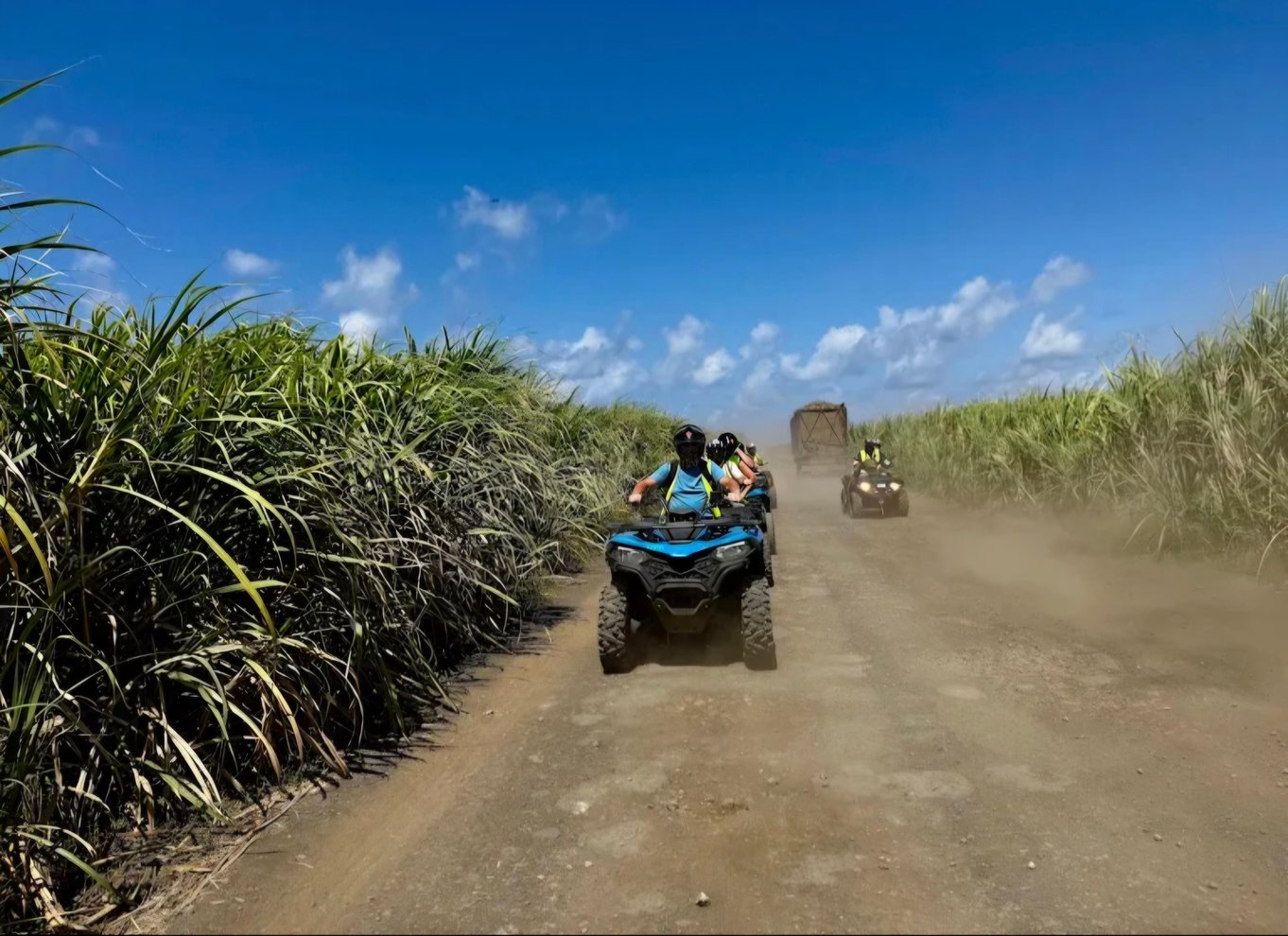 Den sydlige del af Mauritius: Quad Bike-tur