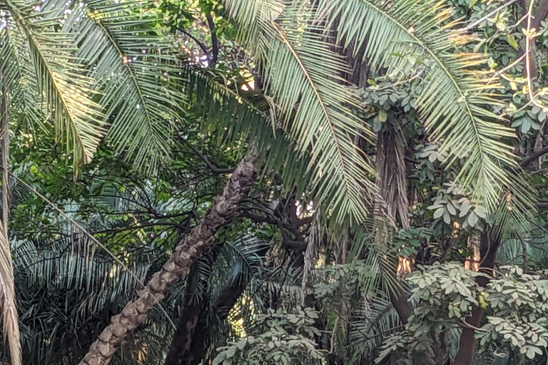 Day Trip: Materuni Waterfalls, Coffee, Springs & Maasai