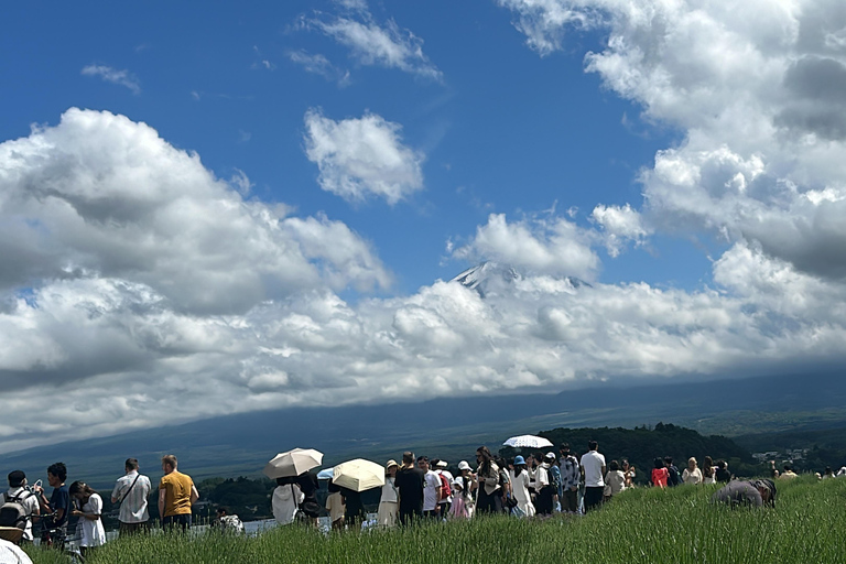 Tokyo: Tour guidato dall&#039;Ing di 2 giorni del Monte Fuji e della città di Tokyo