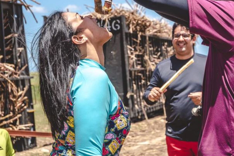 Buggy o zachodzie słońca — cały dzień — mała grupaBuggy o zachodzie słońca – cały dzień – mała grupa