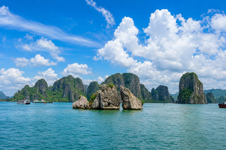 Hanoi: Ha Long Bay Scenic Day Cruise, Cave, Kayak & Titop Hanoi Pickup - Standard Cruise - Set Menu Lunch