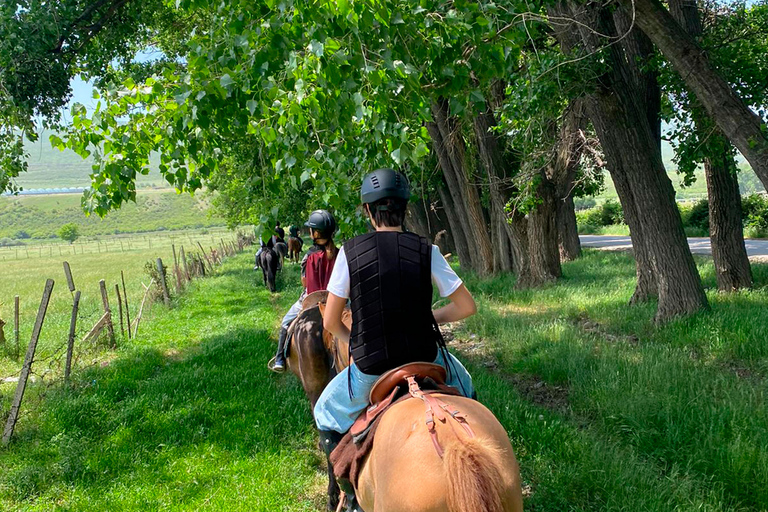 Tbilisi: Horse Riding Tour at Palomino Ranch
